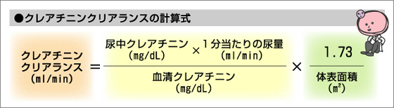 推定糸球体濾過率egfr計算式   asahi net.or.jp