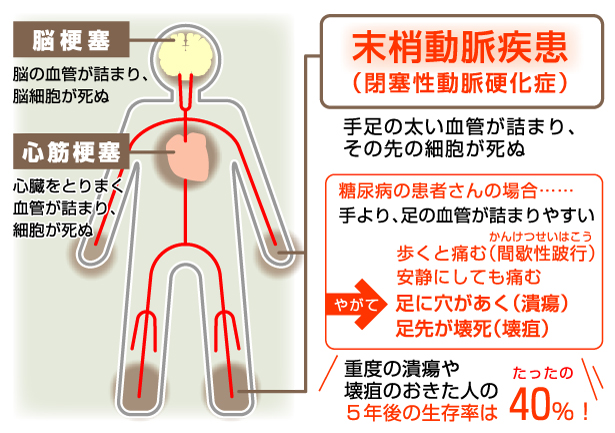 医師に連絡する時期