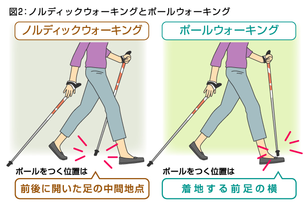 膝痛や腰痛を防ぐポールの使い方／－第37回 足腰を痛めぬ先の２本杖
