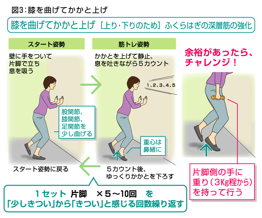 ストレッチ 運動 ふくらはぎ 筋トレ 新しく